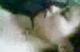 मलाय गैंगब्या।