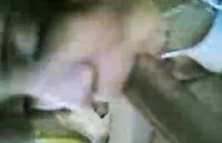 अरब केटीले कालो मुर्गा बेसी।