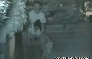 दुई जापानी जोडीहरू बाहिर कवच