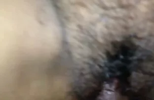 लजालु देसी