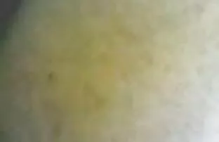 मलाय सेक्स