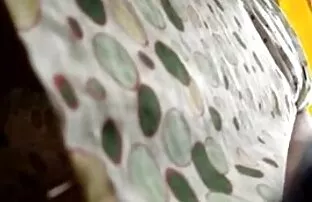 Upskirt voyeur जासूस
