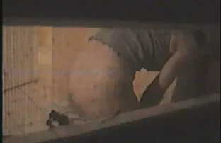 विन्डो पिप मार्च २०० 2003