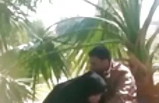 भोएब अरब हिजाब अरब