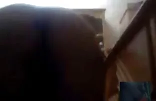 साउदी अरबियाबाट