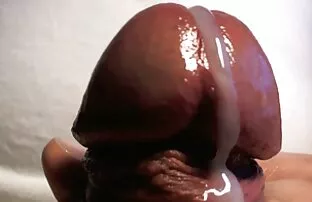 ठूलो टाउकोको मुर्ख चरम नजिक