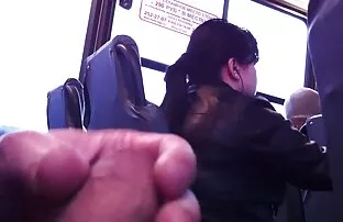 नयाँ bus बस खोज्दै