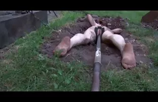 BDSM सार्वजनिक अपमान - तपाईं दास दास
