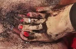 ट्यूलिप-क्वीनसेन्के। -