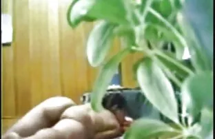 एशियाई वयस्क केटी च्याट गर्दै
