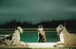 महिला गागा मुखमैथुन
