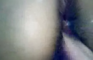 जापानी लिसा