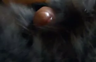मायामा लेडी