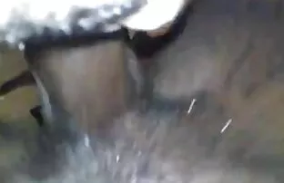 आबनूस रानी मेरो डिक मा स्क्वर्टिंग