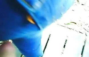 एमेच्योर ब्राजीलियाई कमशॉट्स फ्रेन्च रेडहेड सेक्स फिल्म अंग्रेजी