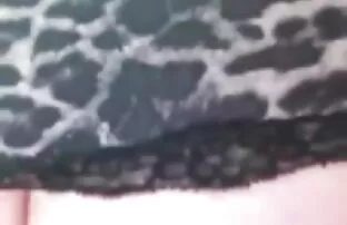 टर्क