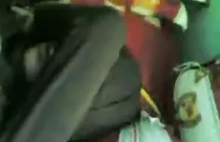 मलाय म्यू फ्यान