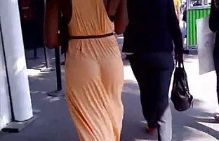 फ्रान्सेली राम्रो गधा अन बोन गधा बाहिर