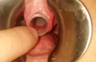 Beehive खेल्नुहोस् 12