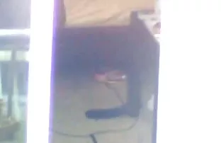 विन्डो छिमेकी भिएउर