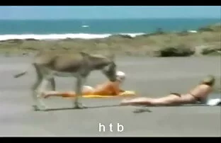 Fun.4.htb