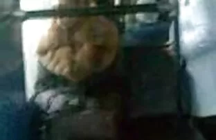 यातायात मेला।